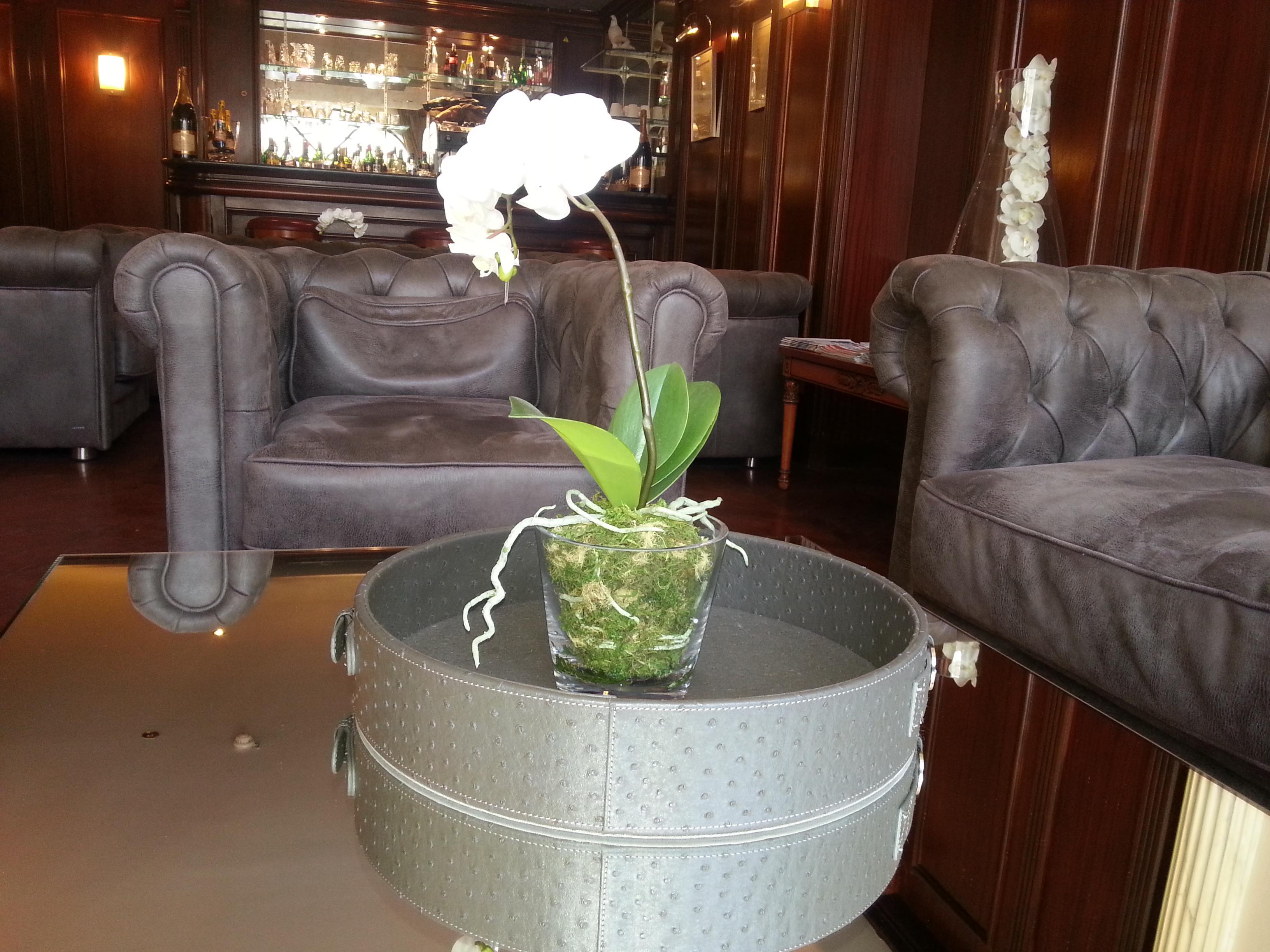 פריז Hotel Derby Eiffel מראה חיצוני תמונה